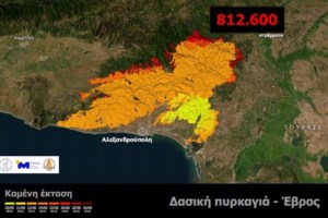 Φωτιές: Αναζωπυρώσεις και εκκενώσεις στον Έβρο - Ανεξέλεγκτη η πυρκαγιά στα Φάρσαλα - 81 μέτωπα σε ολόκληρη τη χώρα - εικόνα 3