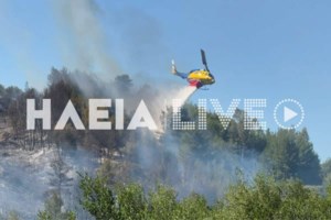 Φωτιά στην Καβάλα: Μεγάλη πυρκαγιά στην Κεραμωτή - Ισχυροί άνεμοι στην περιοχή [εικόνες - βίντεο] - εικόνα 4