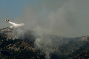 Πυρκαγιά στη Ζαχάρω: Στις φλόγες δάσος και ελιές - Επί ποδός ισχυρή δύναμη της Πυροσβεστικής [Εικόνες}