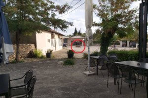 Πλαστικά καλαμάκια: Παράνομο κύκλωμα διάθεσης καταγγέλλει η WWF Ελλάς - "Απογοητευτική η εφαρμογή του νόμου" - εικόνα 2