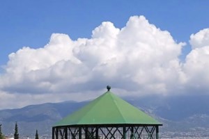 Κιβωτός του Κόσμου: Γίνεται έρευνα για το "πράσινο κλουβί" στον Βόλο- Εκλειναν μέσα τα παιδιά για τιμωρία; [βίντεο]