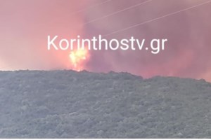 Φωτιά στον Φενεό Κορινθίας: Μεγάλη αναζωπύρωση στο Μαυροβούνι – "112" για εκκένωση σε Μάτι, Αχλαδέα και Αμυγδαλέα - εικόνα 2