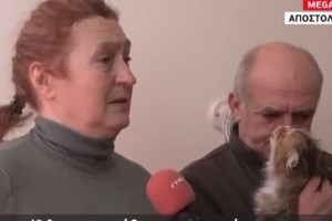 Ουκρανία: Πώς σώθηκε ο Στεπάν από τους βομβαρδισμούς στο Χάρκοβο - Η γάτα influencer του Instagram [εικόνες] - εικόνα 3