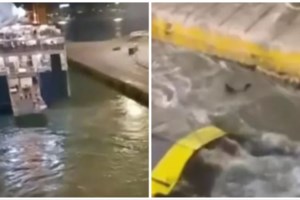 Κρήτη: Οργή στη συγκέντρωση έξω από το Blue Horizon στο Ηράκλειο για τον Αντώνη- "Δολοφόνοι" φώναζε ο κόσμος - εικόνα 5