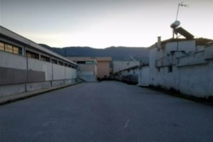 Βόλος: 120.000€ πρόστιμο σε ηλικιωμένη που πέταξε νεογέννητα γατάκια στα σκουπίδια