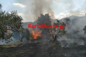 Απίστευτο περιστατικό: Επιβάτης επιτέθηκε σε ελεγκτή του ΟΣΕ επειδή του έκανε σύσταση να φορέσει μάσκα! - εικόνα 2