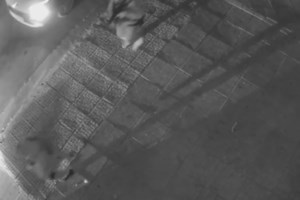 "Τα παιδιά τα χτύπησαν, η χυδαιότητα δεν είχε προηγούμενο": Καταγγελία μητέρας ανήλικου που ήταν με τον γιο Κατρίνη - εικόνα 2