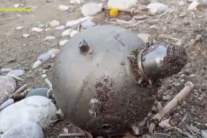 Εξουδετερώθηκε νάρκη στον Πατραϊκό: Bίντεο με τη στιγμή της έκρηξης