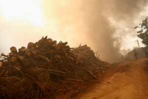 Πάτρα: Φωτιά σε δάσος στο Μάνεσι Καλαβρύτων - Δεν απειλεί κατοικημένη περιοχή