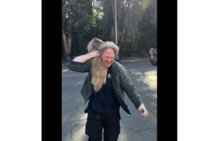 Φωτιές στο Λος Άντζελες: Τι είναι το Phos-Chek, η κόκκινη και ροζ σκόνη που ρίχνουν τα αεροπλάνα και "πνίγει" τα πάντα - εικόνα 9