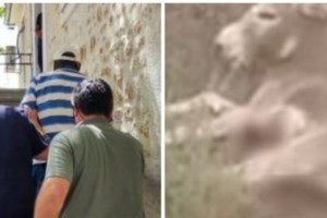 Αυτοί είναι οι τρόποι μείωσης του κόστους χρήσης ενός αυτοκινήτου - εικόνα 2