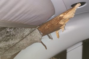 Τραγωδία στην Εύβοια: 35χρονος δασεργάτης καταπλακώθηκε από δέντρο [εικόνες] - εικόνα 2