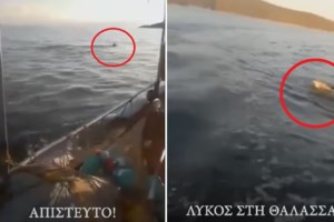 Περιπέτεια για ψαρά στη Θάσο: Μπλέχτηκε στα δίχτυα του και έμεινε αβοήθητος μία ώρα στη θάλασσα [βίντεο]