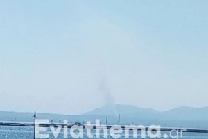 Άνδρος: Σε εξέλιξη πυρκαγιά στη Ζαγορά - Στη μάχη δύο αεροσκάφη air tractor - εικόνα 2