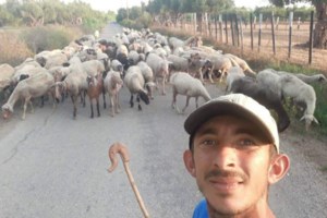 Ναυπακτία: Τραγικό τέλος για τον αγνοούμενο 68χρονο βοσκό - Βρέθηκε νεκρός κοντά στη στάνη του [βίντεο] - εικόνα 2