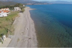 Εξελίξεις: Προφυλακιστέος ο δάσκαλος από την Ερέτρια για την αποπλάνηση 14χρονης - εικόνα 2