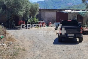 Ρέθυμνο: Ψάχνουν τους ενόχους στην παλαιότερη επίθεση κατά του γιου του κτηνοτρόφου - εικόνα 2