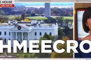 Βέλγιο: Δύο ιπποπόταμοι βρέθηκαν θετικοί στον κορονοϊό, κάτι που συμβαίνει για πρώτη φορά στον κόσμο