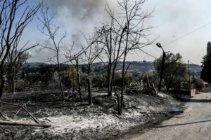 Meteo: Δορυφορικές εικόνες από τις φωτιές σε Χίο, Ζάκυνθο, Πρέβεζα και Κάτω Αχαΐα - Κάηκαν πάνω από 100.000 στρέμματα - εικόνα 6