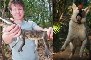 Φρίκη στην Αυστραλία: Ένα πορτοκαλί λουρί πρόδωσε τον αρρωστημένο ζωολόγο που βίαζε και βασάνιζε σκυλάκια - εικόνα 2