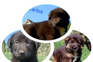 Ο Ντέμης βρέθηκε νεογέννητος σε μια σακούλα σκουπιδιών μαζί με τα αδέρφια του - Τους αξίζει;