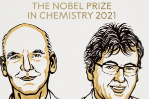 Νόμπελ Λογοτεχνίας: Απονεμήθηκε στον Τανζανό Αμπντουλραζάκ Γκούρνα - εικόνα 2