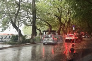 Mεγάλη φωτιά στη Βοιωτία: Ενα χλμ από το Δίστομο οι φλόγες - Πυροσβέστες και κάτοικοι παλεύουν να μην φτάσουν στα σπίτια - εικόνα 3