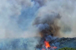Νότια Εύβοια: Σε ύφεση η φωτιά στους Ραπταίους Καρύστου - Εκκενώθηκαν σπίτια [εικόνα]