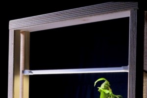 Απονομή Βραβείων του JA Greece: Νικήτρια η ομάδα Microgreens-Magicgreens του 2ου Πειραματικού Γυμνασίου Κιλκίς - εικόνα 2