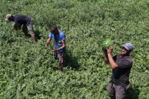 Γαύδος: Νέο ναυάγιο με περισσότερους από 90 μετανάστες - Συνελήφθη 23χρονος ως διακινητής