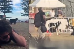 Σίδνεϊ: Σε κλίμα βαθιάς οδύνης οι κηδείες των θυμάτων του μακελειού - 22 τραυματίες νοσηλεύονται [εικόνες] - εικόνα 5