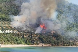 Υπό μερικό έλεγχο τέθηκε η πυρκαγιά στο Άγιο Όρος