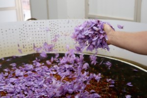 Θεσσαλονίκη: Ο 63χρονος "γιατρός" βαλιτσών που σώζει τα ταξίδια τουριστών και κατοίκων της πόλης [εικόνες]