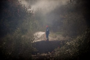 Η Λαμία την επόμενη μέρα της πυρκαγιάς- Εικόνες από drone [βίντεο, εικόνες] - εικόνα 12
