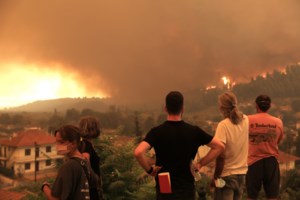 Από σήμερα οι αιτήσεις για τις αποζημιώσεις των πυρόπληκτων - Τι να προσέξουν οι ενδιαφερόμενοι