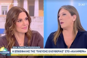 Καυστικός ο Πέτρος Κωστόπουλος για τη Ζωή Κωνσταντοπούλου: Αυτά που κάνει είναι για να γελάνε οι κότες