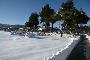 ΔΕΔΔΗΕ: Ποιες βλάβες αποκαταστάθηκαν - Μεμονωμένα προβλήματα ηλεκτροδότησης σε νοικοκυριά