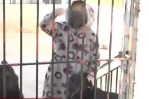 Βοιωτία: "Η γιαγιά ήταν στο πάτωμα, μέσα στις ακαθαρσίες, της είχε πετάξει κάτι μπισκότα..." - Συγκλονίζουν οι μαρτυρίες