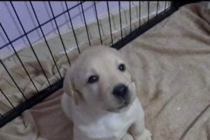 Πώς η Μίρα από την Πρέβεζα άλλαξε τη... μοίρα του Ακη Σκέρτσου στην Γενική Γραμματεία Συντονισμού