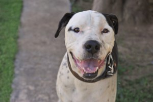 Μπλέξαμε! Ο Μάιλο είναι ο μόνος τρόπος να σταματήσετε να τρώτε βράδυ - εικόνα 4