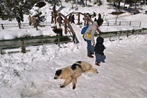 Κακοκαιρία Avgi: Απαγορευτικό απόπλου από Ραφήνα - Kανονικά τα δρομολόγια από Πειραιά και Λαύριο