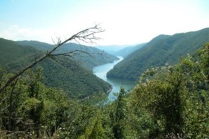 Τραγωδία στην Κρήτη: Μητέρα εντόπισε τον γιο της νεκρό στο σπίτι