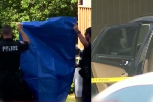 Θρήνος στις ΗΠΑ: Μάστιγα τα περιστατικά θερμοπληξίας - Πέθανε αγοράκι 6 μηνών που το ξέχασαν στο αυτοκίνητο - εικόνα 2