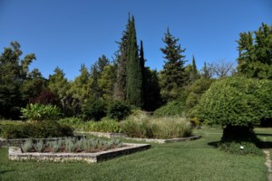 Βοτανικός Κήπος Διομήδους: Ένας επίγειος παράδεισος - Kαταφύγιο για πουλιά και ζώα του δάσους - Ο μεγαλύτερος στην Ελλάδα