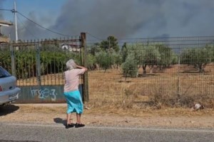 Κερατέα: "Είπα στα παιδιά "αυτή η φωτιά είναι πολύ δύσκολη, δεν πρόκειται να σβήσει"" - εικόνα 2