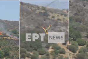 Τα αίτια της τραγωδίας στην Κάρυστο: Πώς το μοιραίο Canadair έπεσε την ώρα που έσβηνε φωτιά [Βίντεο] - εικόνα 3