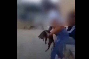 "Καμπάνα" 5.000 ευρώ στη 15χρονη που κλώτσησε γατάκι στο Ρέθυμνο και γελούσε - Γιατί δεν συνελήφθη [βίντεο]