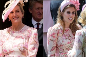 Στο νοσοκομείο η πριγκίπισσα Άννα μετά από ατύχημα - Νοσηλεύεται με τραύματα στο κεφάλι - εικόνα 5