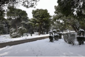 Σάκης Αρναούτογλου: Ερχεται νέος "γύρος" με χιονοπτώσεις - Πού θα απολαμβάνουν μόνο λιακάδα - εικόνα 2