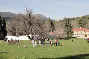 Τατόι: Εντοπίστηκε το χαμένο ιστορικό κασπώ των ανακτορικών κήπων - Πότε θα το δούμε στο Προεδρικό Μέγαρο [Εικόνες] - εικόνα 5